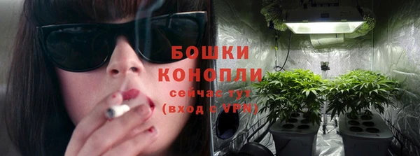 дмт Дмитровск