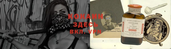 дмт Дмитровск
