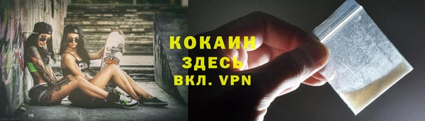 дмт Дмитровск