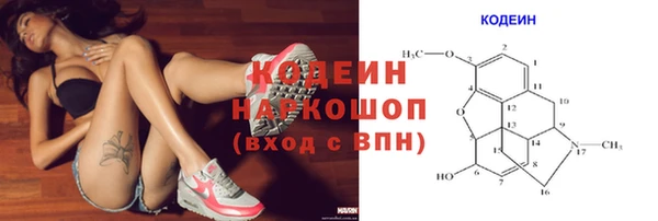 дмт Дмитровск