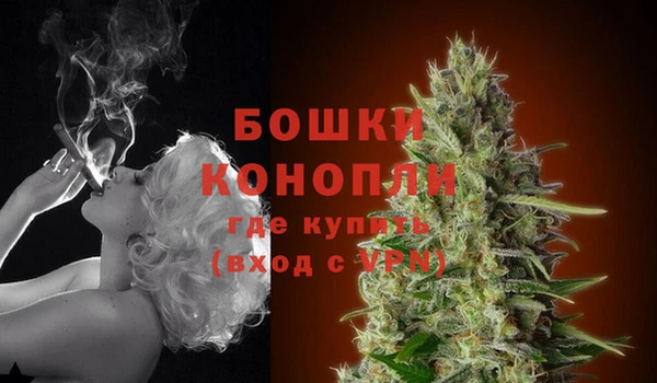 дмт Дмитровск
