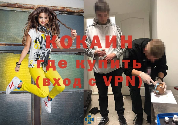 дмт Дмитровск