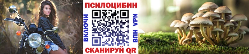 кракен tor Енисейск Псилоцибиновые грибы MAGIC MUSHROOMS