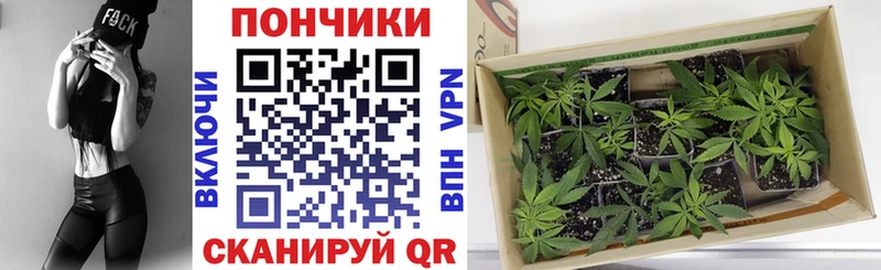 mega зеркало  Енисейск  Бошки Шишки план 